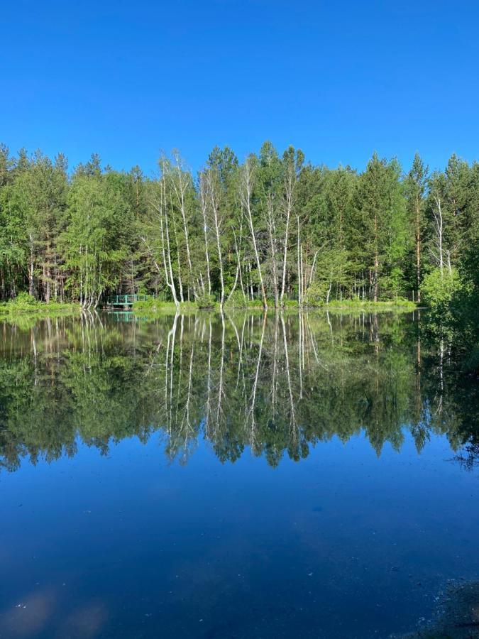 Forest And Lake Borovoe Exteriör bild